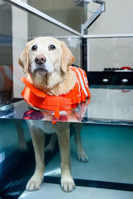Burlington Emergency & Veterinary Specialists Picture 7