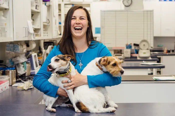 Burlington Emergency & Veterinary Specialists Picture 6