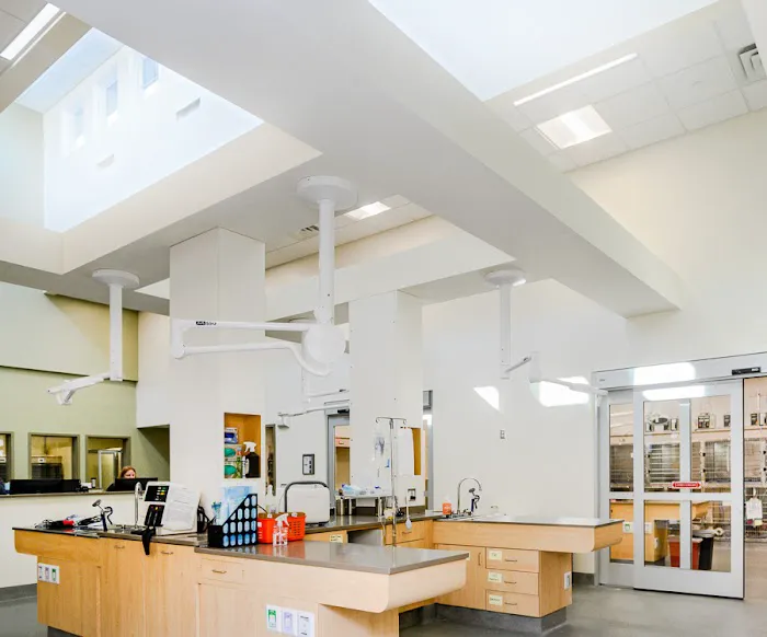 Burlington Emergency & Veterinary Specialists Picture 9