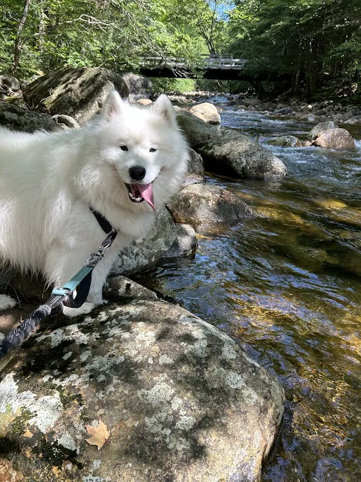 Central New Hampshire Animal Care Picture 6