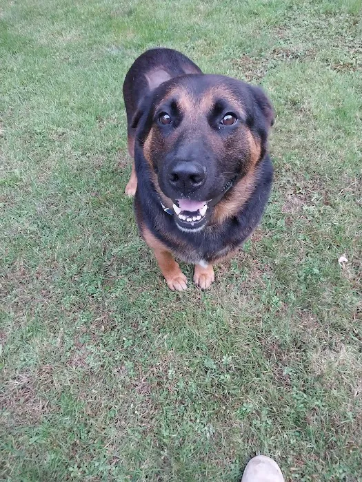 Central New Hampshire Animal Care Picture 7