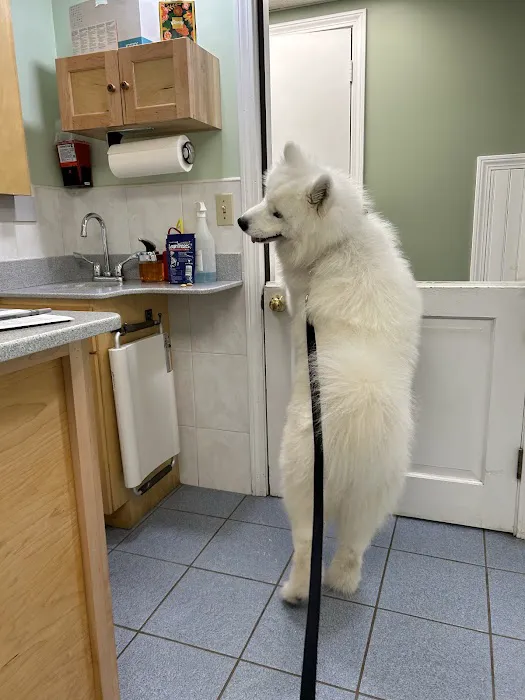 Central New Hampshire Animal Care Picture 4