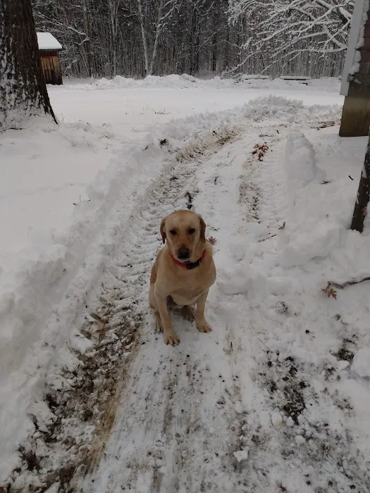 Central New Hampshire Animal Care Picture 10
