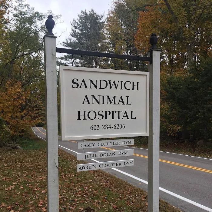 Sandwich Animal Hospital Picture 2