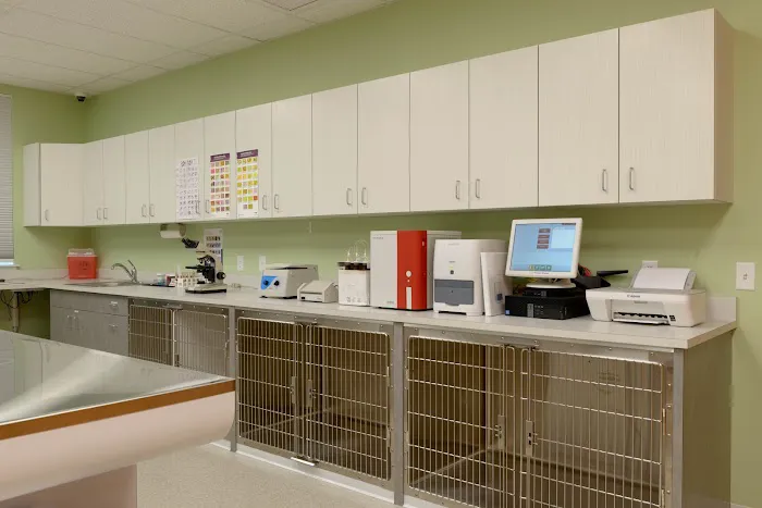 Bedford Veterinary Medical Center Picture 4