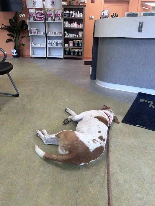 Bedford Veterinary Medical Center Picture 2