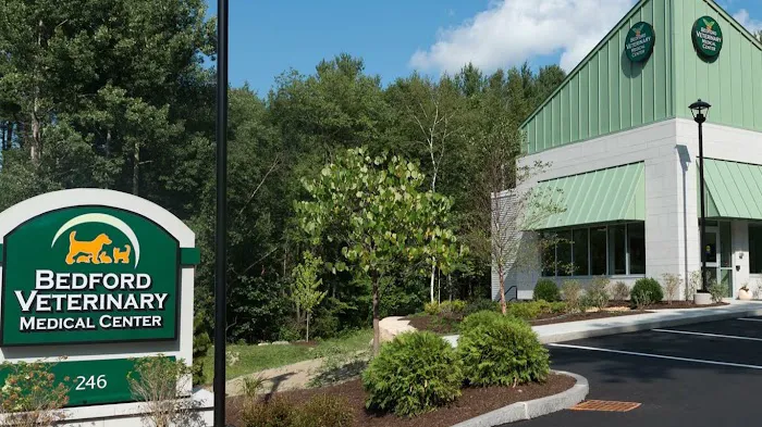 Bedford Veterinary Medical Center Picture 10