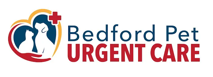 Bedford Pet Urgent Care Picture 6