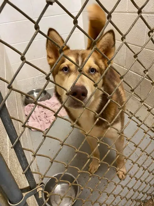 Bedford Animal Hospital Picture 9