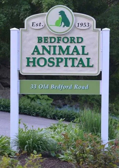 Bedford Animal Hospital Picture 6