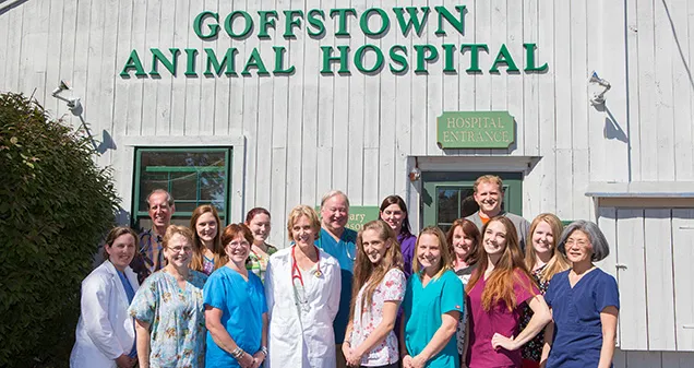Goffstown Animal Hospital Picture 8