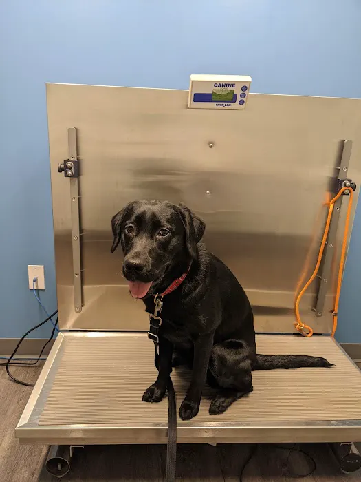 Northside Animal Hospital Picture 4