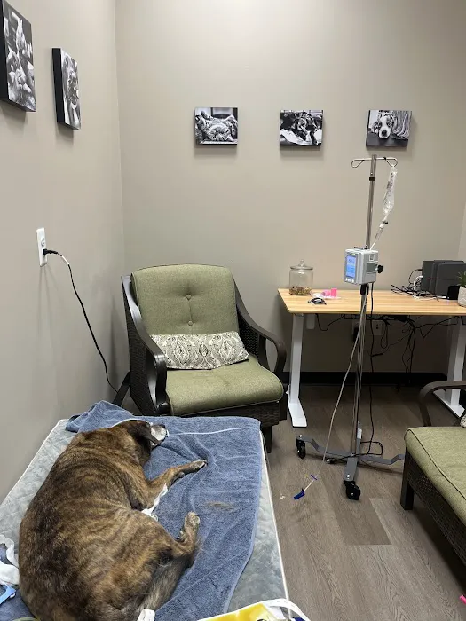 Best Friends Animal Hospital Picture 9