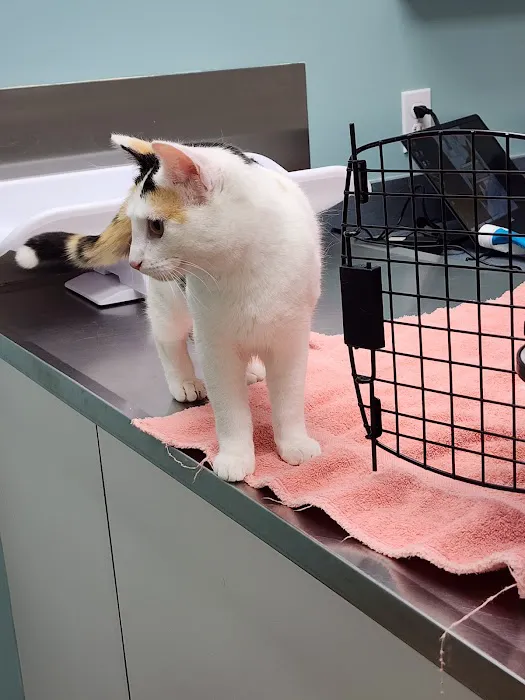 Manchester Animal Hospital Picture 8