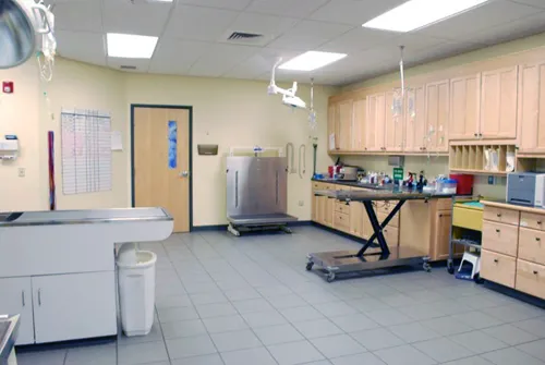 VCA Daniel Webster Animal Hospital Picture 3