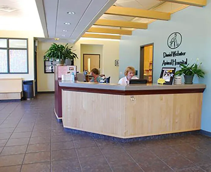 VCA Daniel Webster Animal Hospital Picture 6