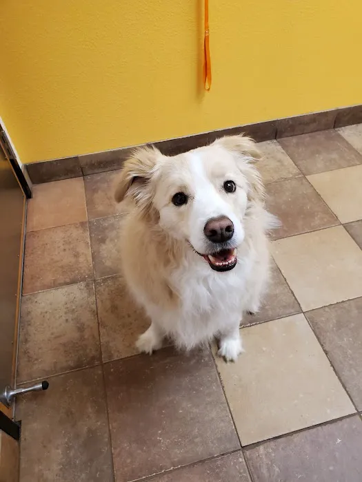 Banfield Pet Hospital Picture 8