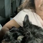 Allenstown Animal Hospital
