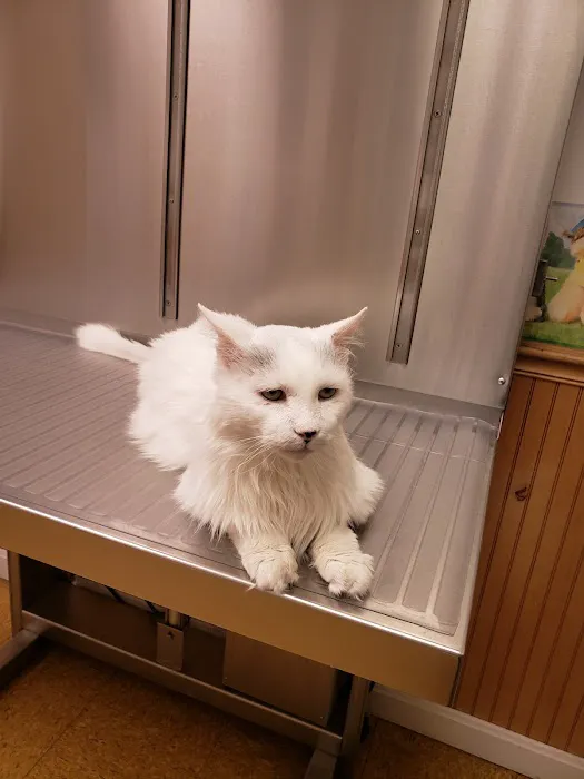 Hooksett Veterinary Clinic Picture 6