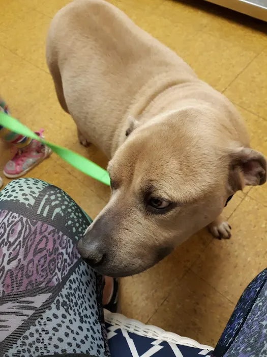 Hooksett Veterinary Clinic Picture 7