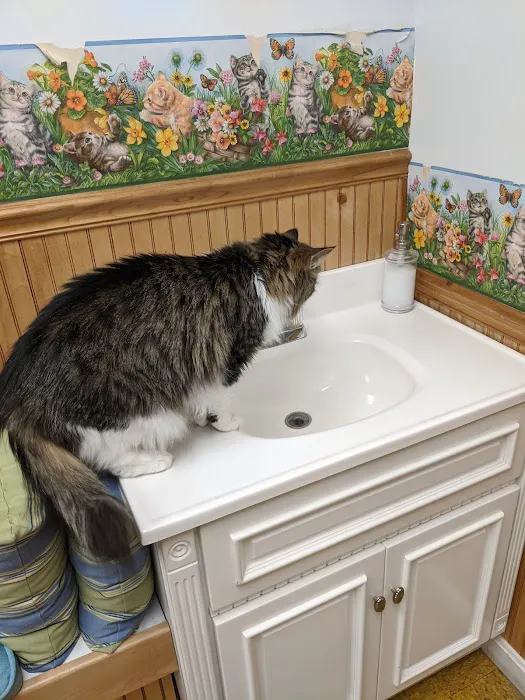 Hooksett Veterinary Clinic Picture 9