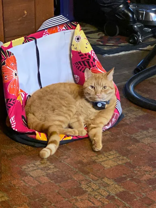 Winter Harbor Veterinary Hospital Picture 2