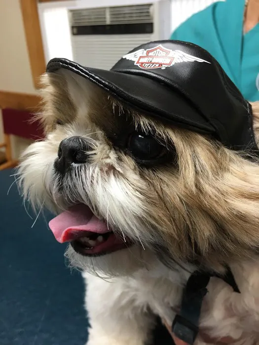 Winter Harbor Veterinary Hospital Picture 5