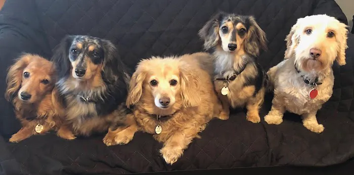 Winter Harbor Veterinary Hospital Picture 4