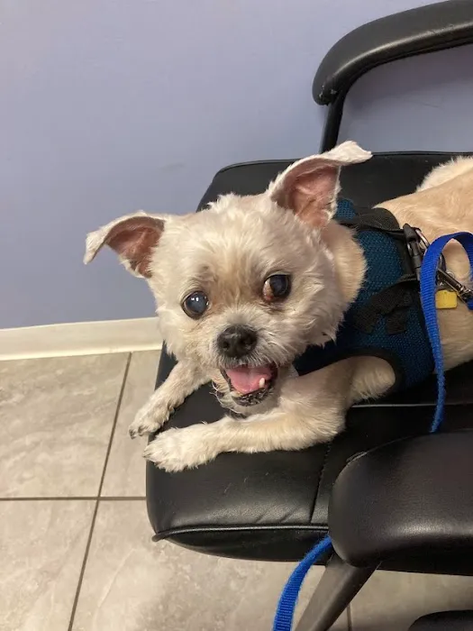 Winter Harbor Veterinary Hospital Picture 3