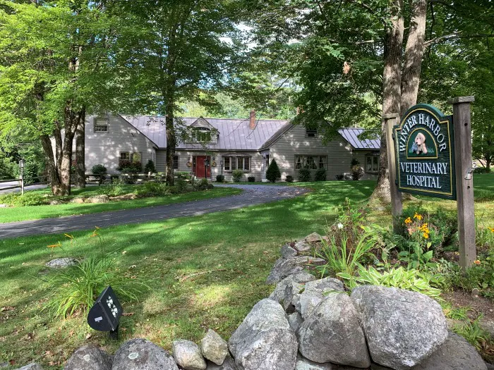 Winter Harbor Veterinary Hospital Picture 6