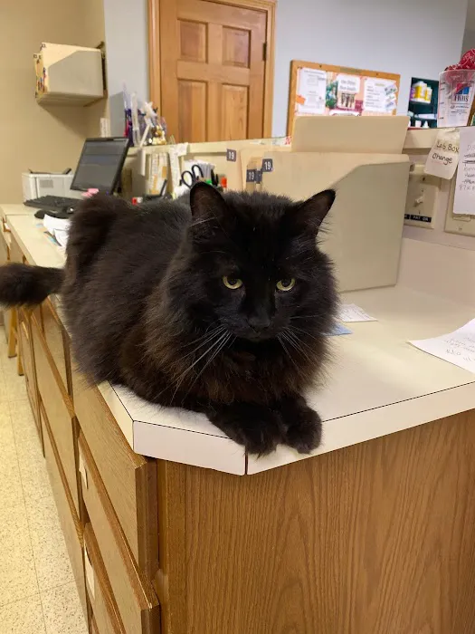 Winter Harbor Veterinary Hospital Picture 10