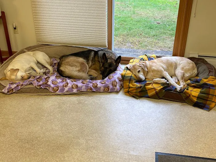 Winter Harbor Veterinary Hospital Picture 7