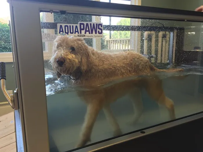Advanced Veterinary Specialty Center of New England Picture 6