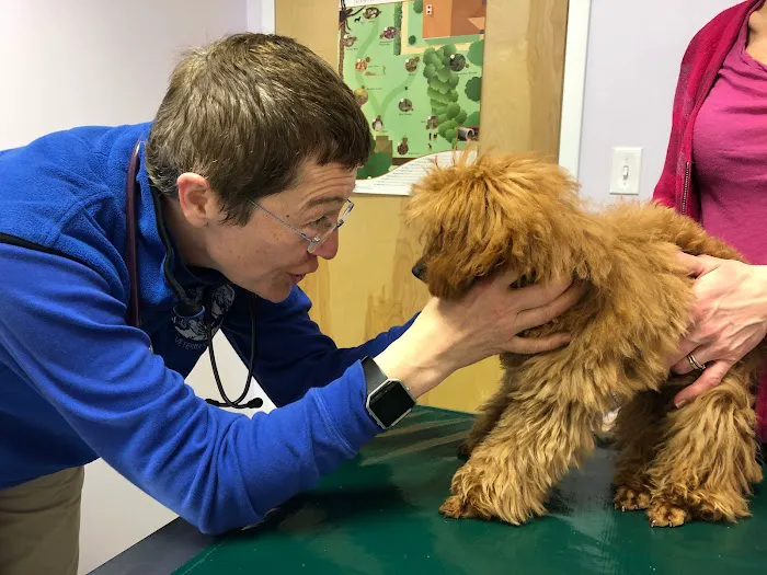 Holmes Family Veterinary Clinic Picture 6