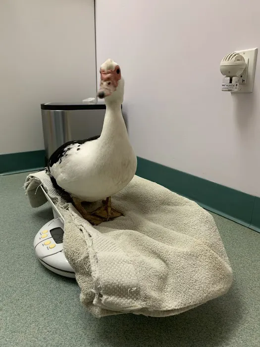 Holmes Family Veterinary Clinic Picture 3