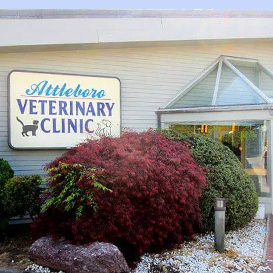 Attleboro Veterinary Clinic Picture 4