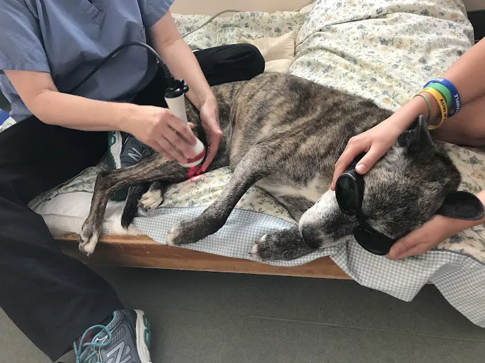 Sterling Impression Animal Rehabilitation Center Picture 1