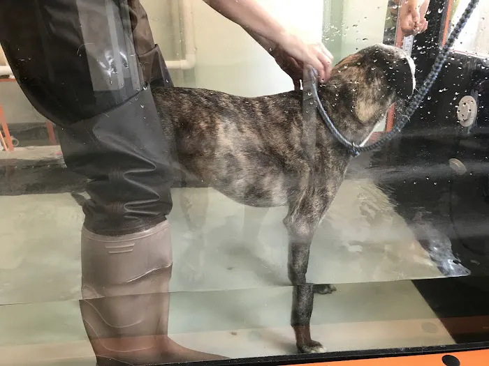 Sterling Impression Animal Rehabilitation Center Picture 2