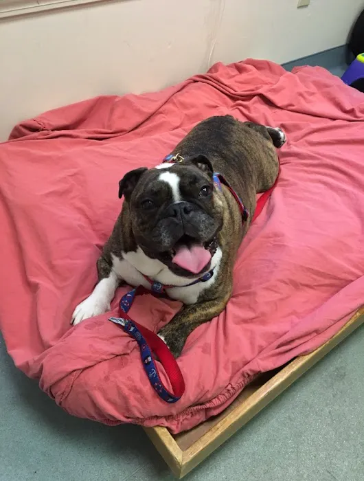 Sterling Impression Animal Rehabilitation Center Picture 8