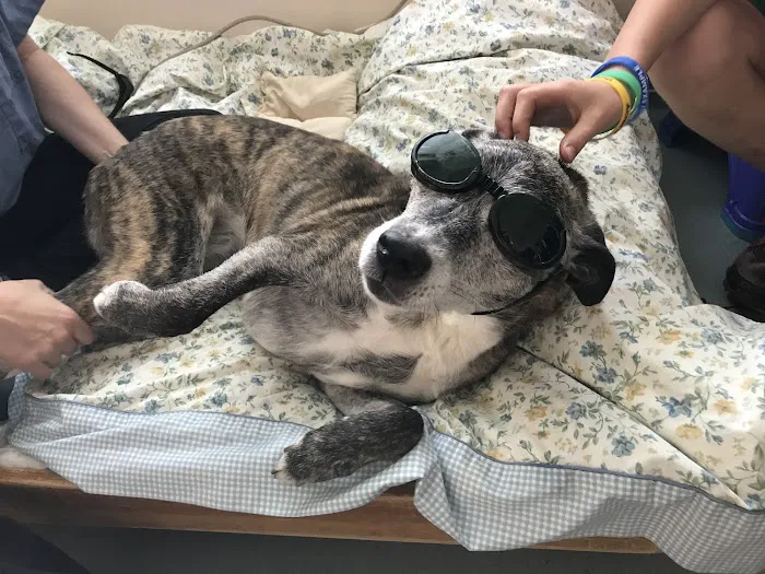 Sterling Impression Animal Rehabilitation Center Picture 4