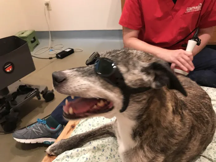 Sterling Impression Animal Rehabilitation Center Picture 3