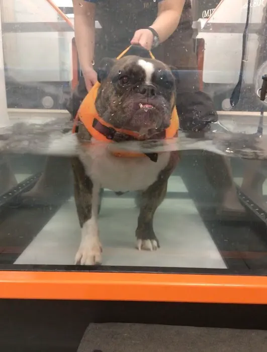 Sterling Impression Animal Rehabilitation Center Picture 7