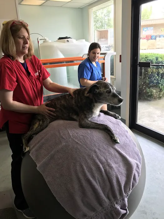 Sterling Impression Animal Rehabilitation Center Picture 6