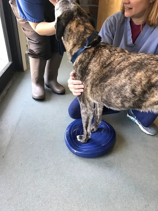 Sterling Impression Animal Rehabilitation Center Picture 5