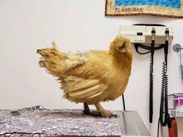 Windhover Veterinary Center Picture 1