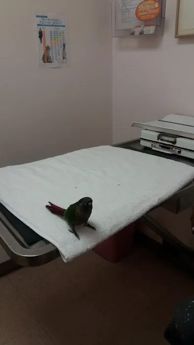 Windhover Veterinary Center Picture 5