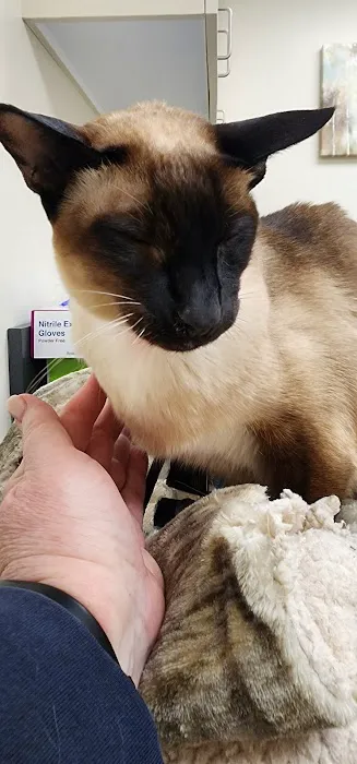Tufts Veterinary Emergency Treatment & Specialties Picture 4