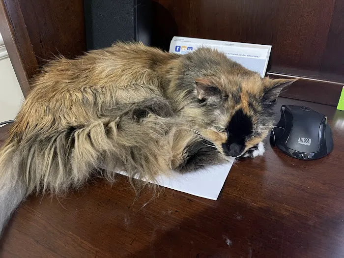 Tufts Veterinary Emergency Treatment & Specialties Picture 5
