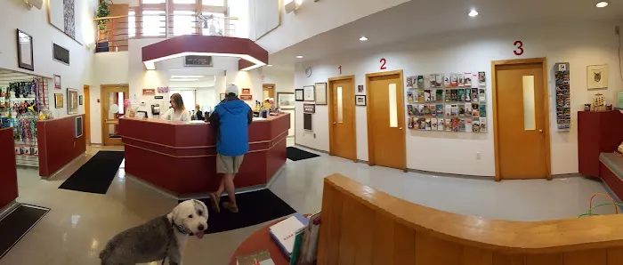 Wellesley Natick Veterinary Hospital Picture 3