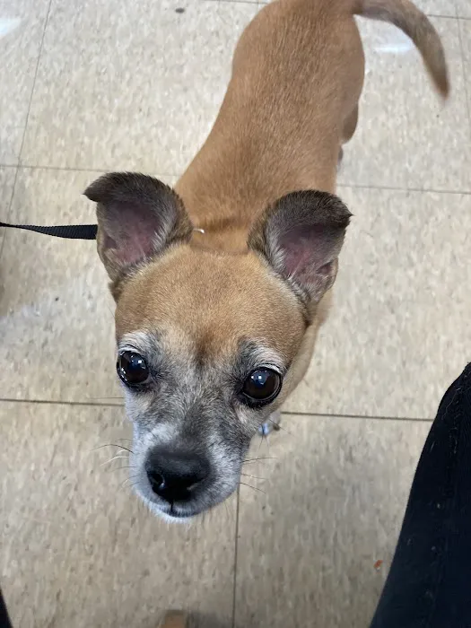 Banfield Pet Hospital Picture 6